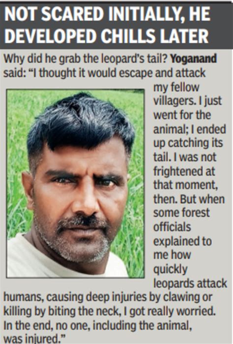 Bengaluru Leopard Incident: Heroic tail pull saves lives': Karnataka ...