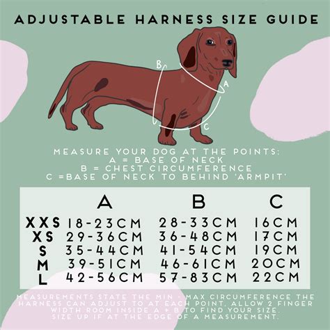 Dog Size Charts | Leads, Collars, & Harnesses - Poppy + Ted
