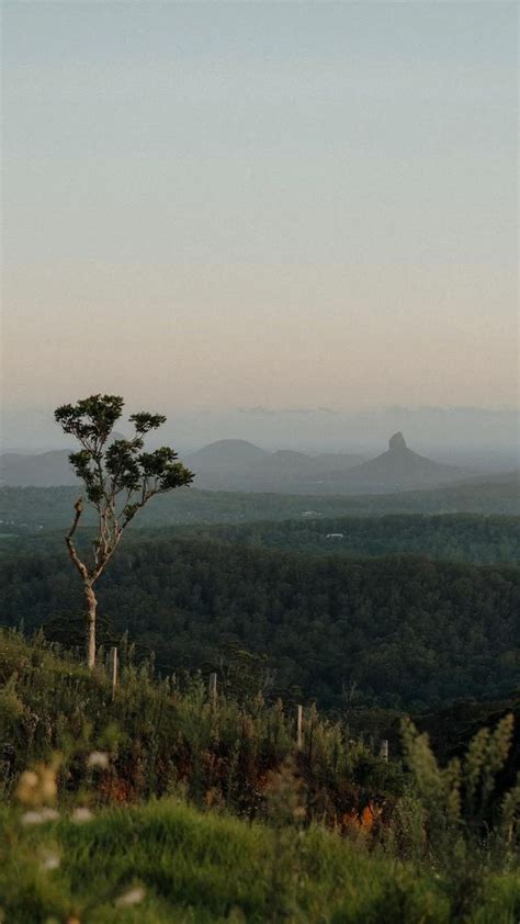 Travel Aesthetic Images 的图像结果