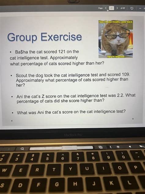 Image result for Cat Intelligence Test