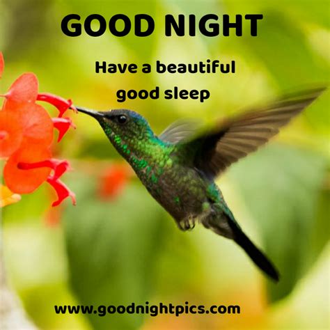 Image result for Goodnight Spaceman