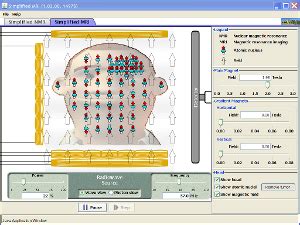 MRI Software Tutorial 的图像结果