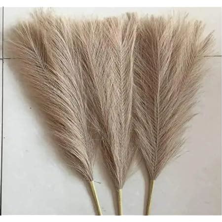 Buy TIED RIBBONS Set of 4 Fluffy Pampas Grass (White, 45.7 cm ...
