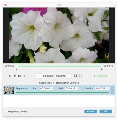Export MP4 File 的图像结果