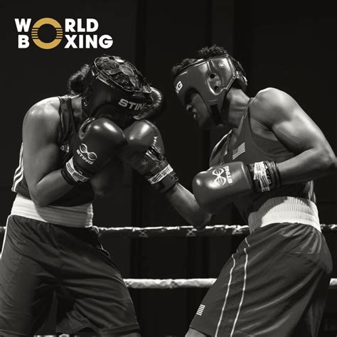 Image result for World Boxing