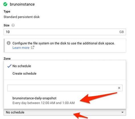 Google Cloud Automatic Backup to Back Up Persistent Disks | NetApp