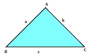 Area of Triangle, Formulas With Examples