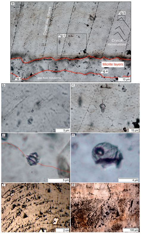 Fabric and Fluid Inclusions Characterization of a Stalagmite from ...