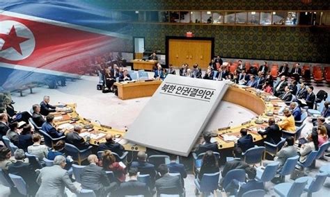 S.Korea co-sponsors UN draft resolution on Pyongyang human rights after ...