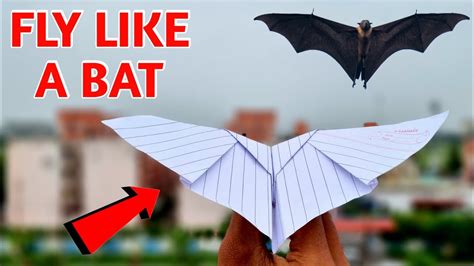Tutorial Bat Paper Plane 的图像结果