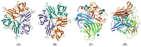 Improving the Properties of Laccase Through Heterologous Expression and ...