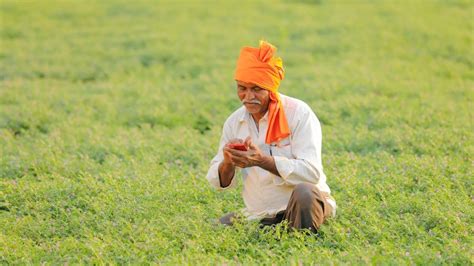 Google.org fuels climate resilience in India with APAC Sustainability ...