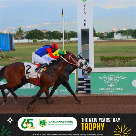 Caymanas Park Racing | Horse Racing Track (@caymanasracing) • Instagram ...