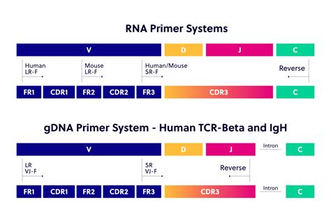 Image result for Multiplex PCR Primer Design