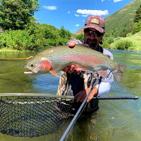 Summer Fly Fishing Utah - Jeremy Allan Utah Fly Fishing