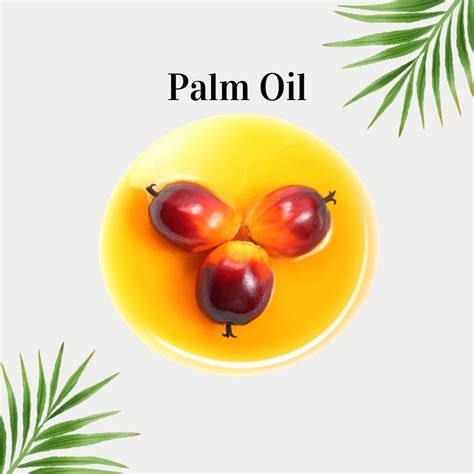 பாம் | Palm Oil - Login