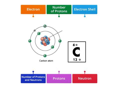 Structure of an Atom - Labelled diagram