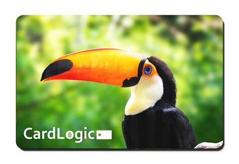 Image result for Paystack Staff ID Card