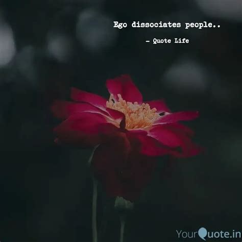 Ego dissociates people.. | Quotes & Writings by A Sport's Girl..💪🏻 ...