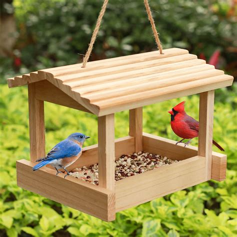 Amazon.com : STARSWR Bird Feeders for Outside Hanging, Wild Bird Feeder ...
