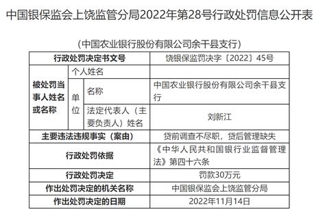 银行尽职调查及监管处罚现状调查报告Word模板下载_编号lngydbjx_熊猫办公