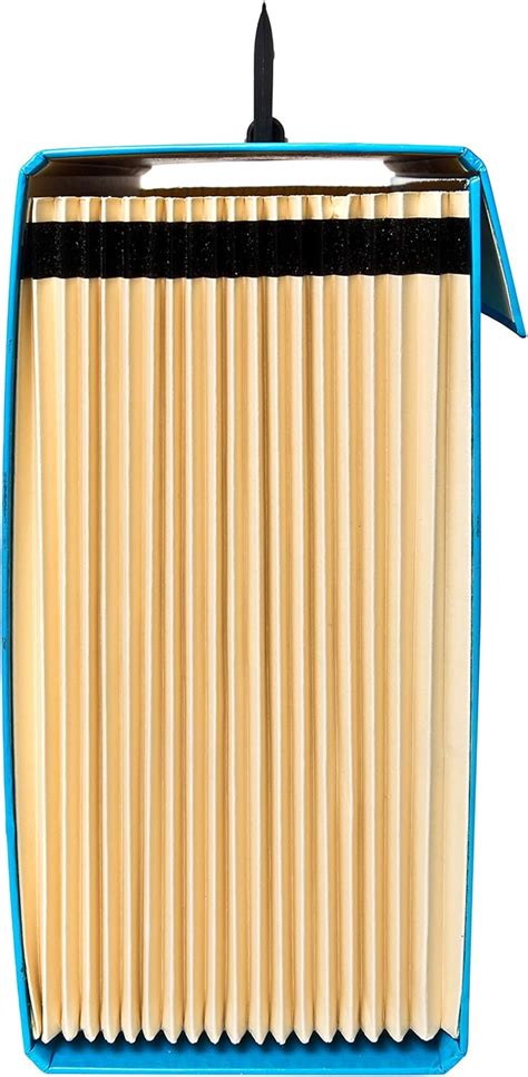 Buy DESKit Locking File Folder Organizer | Expandable, Portable, Letter ...