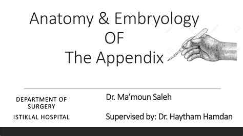 Image result for Appendix Labeled