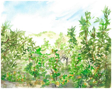 Huckleberry Botanic Regional Preserve: Supplement to the Self-Guided Tour