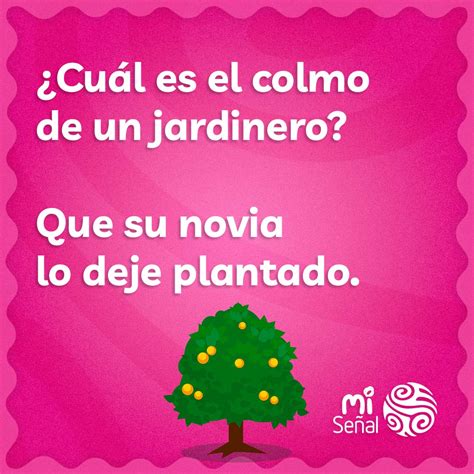 Chistes Cortos Graciosos Chistes Cortos Y Fáciles Para Niños Y