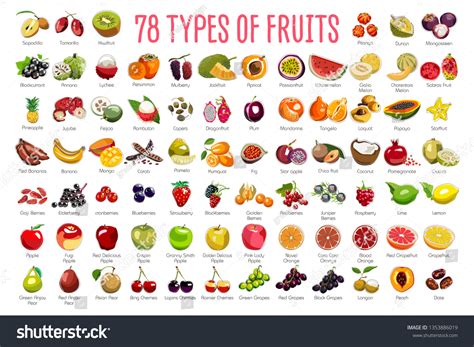 42,861 Fruit Name Images, Stock Photos & Vectors | Shutterstock