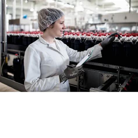 Safety Hand Gloves - Lakeland Nitrosol Nitrile EN22L Service Provider ...