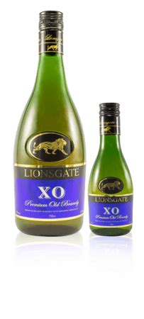 Lionsgate Welcome to LIONSGATE India - Live Rich - Open the GATES to ...