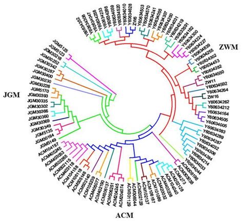 Conservation Assessment of the State Goat Farms by Using SNP Genotyping ...
