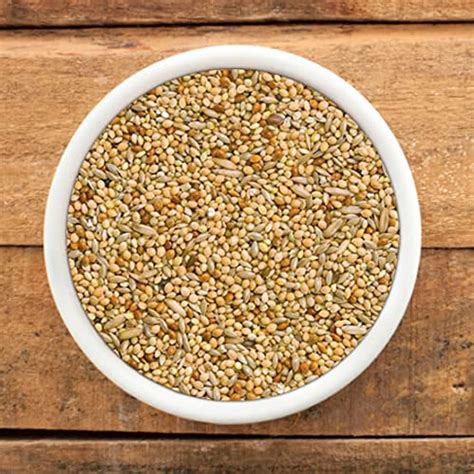 Buy Premium Budgie Food Mix (10kg) | Ultimate Deluxe Mix for Pet ...