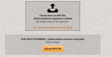 Image result for MP3 Corrupt File Repair Software