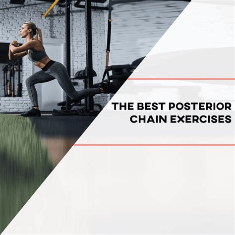 The Best Posterior Chain Exercises - [P]rehab