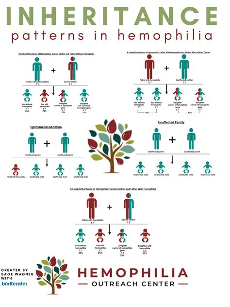 What We Treat: Bleeding Disorders | Hemophilia Outreach Center