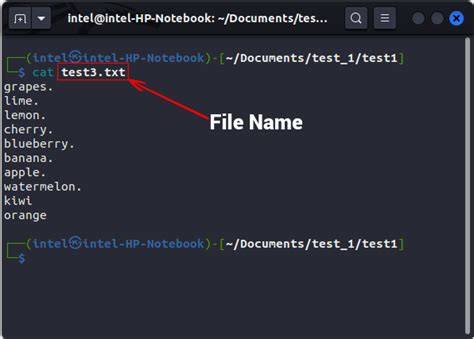 Image result for How to Use Cat Command in Linux