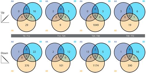 Transcriptomic Profiling of the Allorecognition Response to Grafting in ...