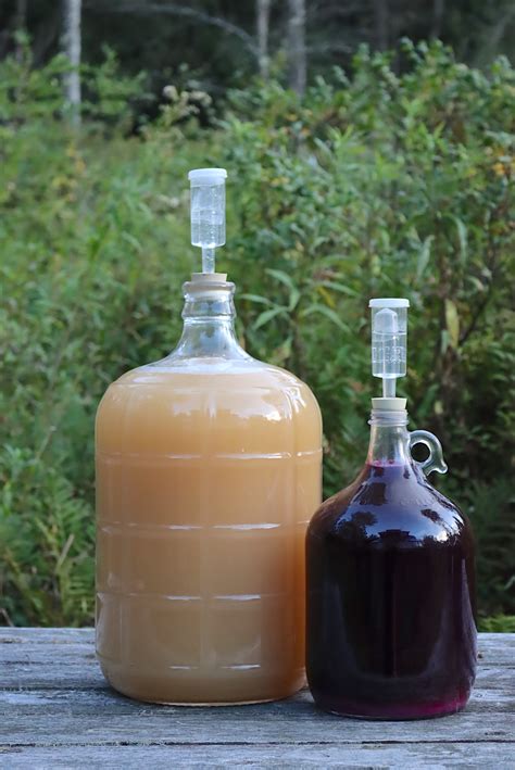 Image result for Easy Homemade Wine Using Grapes