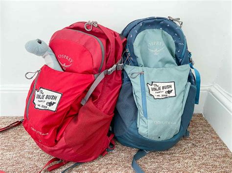 The Best Backpack for Travel With Kids: 9 Backpacks For Families - The ...
