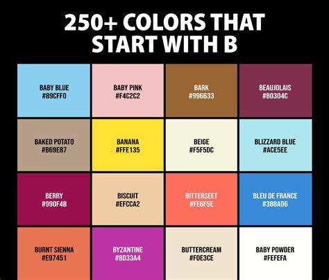 250+ Colors that Start with B (Names and Color Codes) – CreativeBooster