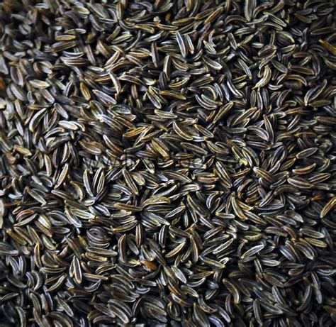 Caraway Seeds Indian Name