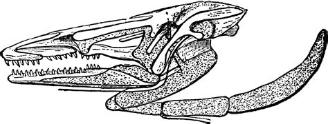 Image result for Alienware 25 Connection USB