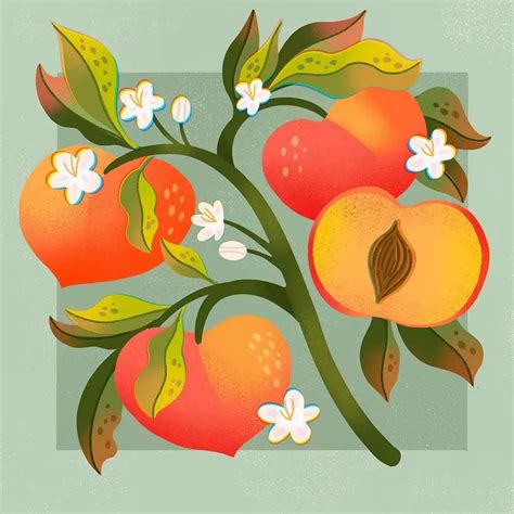 30 Best Peach Illustration Ideas You Should Check