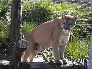 Tampa Photos - Featured Images of Tampa, FL - Tripadvisor