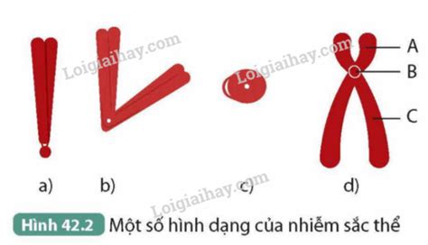 Image result for Test Driven Development Anti-Patterns Chain Gangs Example