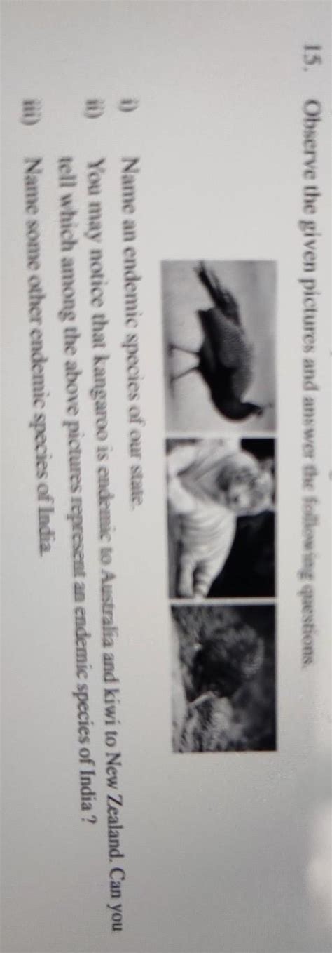 15. Observe the given pictures and answer the following questions, i ...