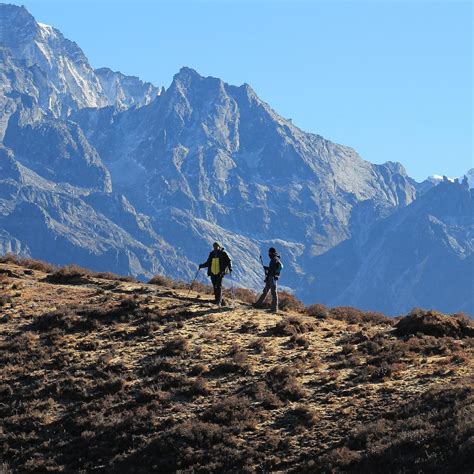 NEW AGE PILGRIM (2025) All You Need to Know BEFORE You Go (with Photos ...