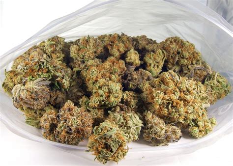 Image result for Alien OG Strain Info